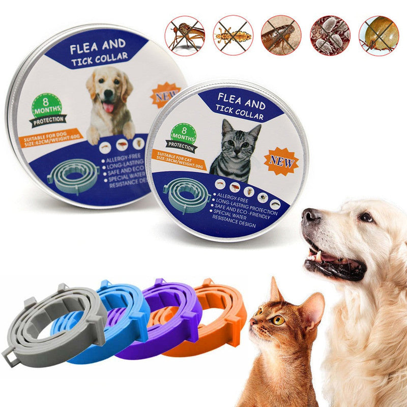 Bug Free Organic Pet Cat Dog Collar