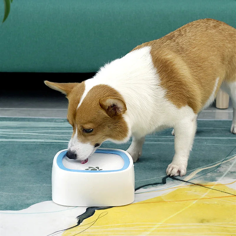 PawPour™ Bowl