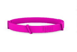 Bug Free Organic Pet Cat Dog Collar