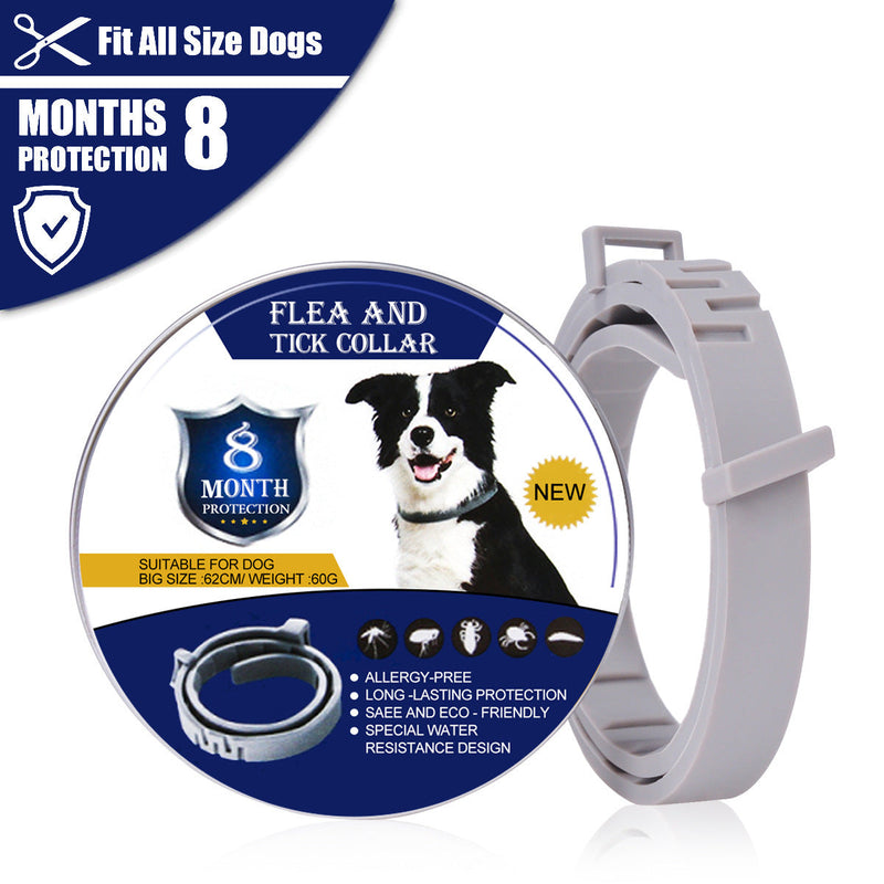 Bug Free Organic Pet Cat Dog Collar Gray Packs
