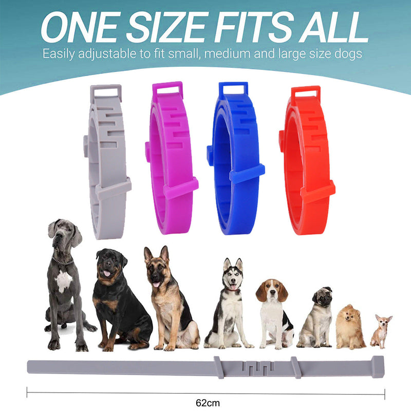 Bug Free Organic Pet Cat Dog Collar