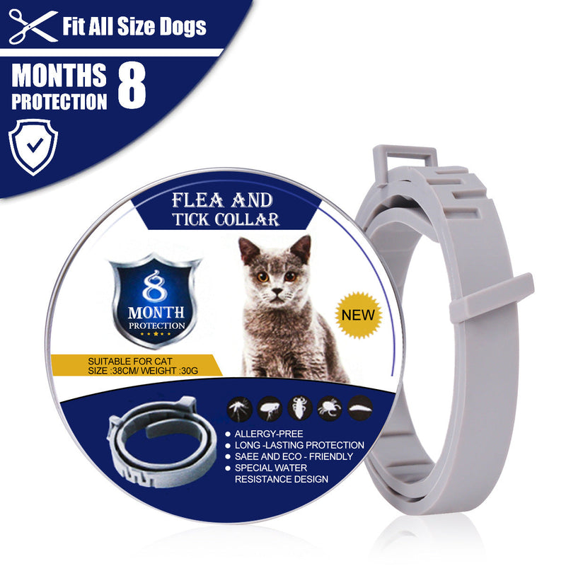 Bug Free Organic Pet Cat Dog Collar Gray Packs