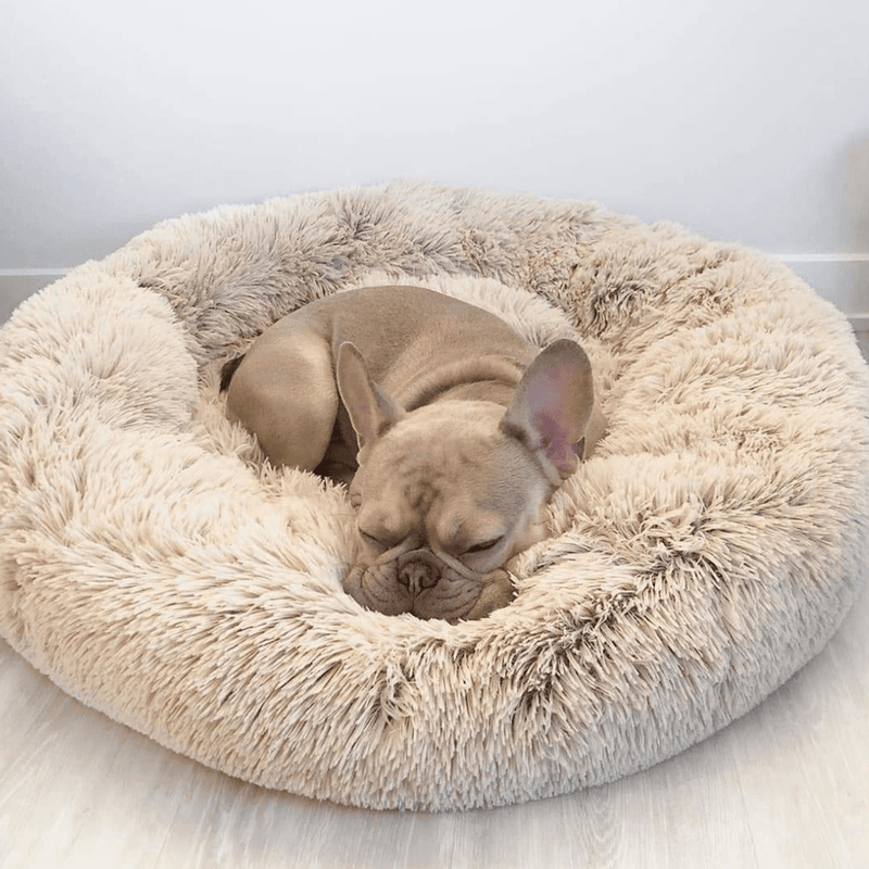 Anti Anxiety Calming Bed