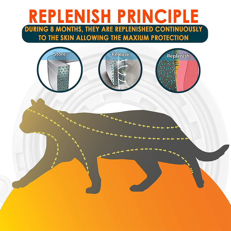 Bug Free Organic Pet Cat Dog Collar Gray Packs